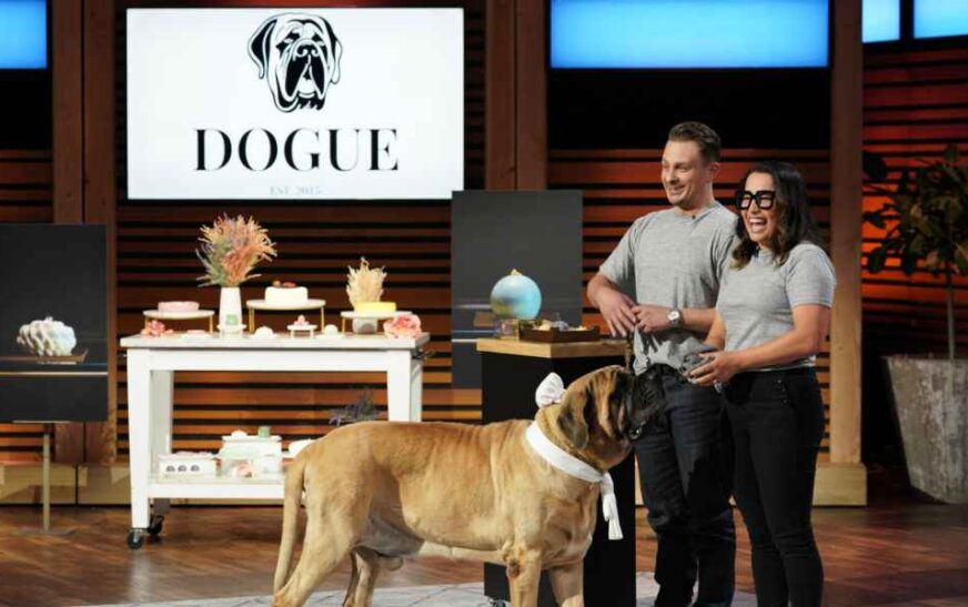 Dogue Net Worth 2024 Update & Their Shark Tank Pitch!